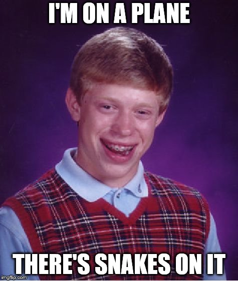 Lol Snakes on Brian's plane | I'M ON A PLANE; THERE'S SNAKES ON IT | image tagged in memes,bad luck brian | made w/ Imgflip meme maker