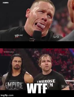 WTF | image tagged in wwe | made w/ Imgflip meme maker