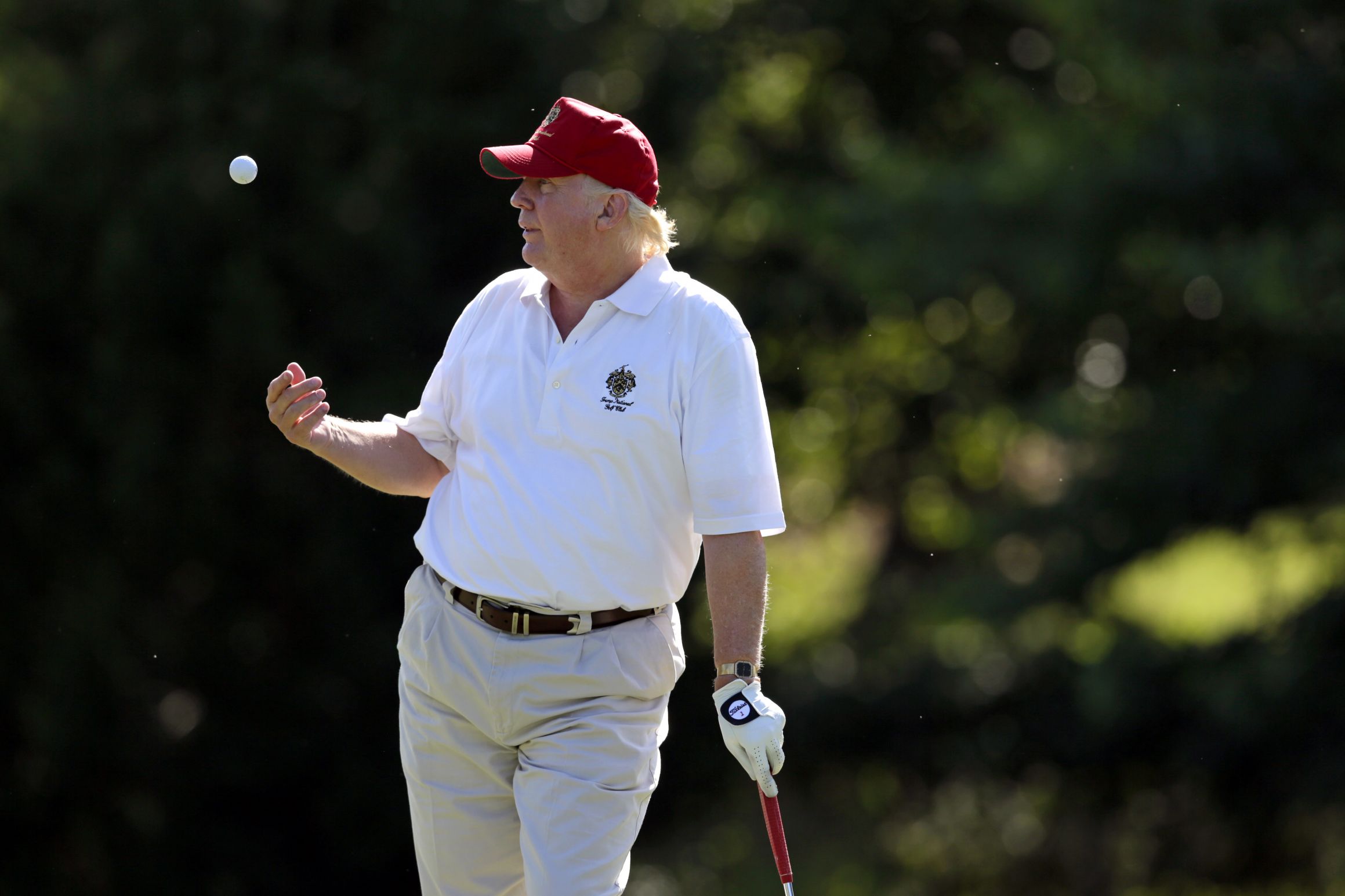 Donald Trump playing golf Blank Meme Template