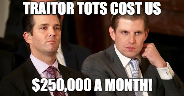 TRAITOR TOTS COST US; $250,000 A MONTH! | image tagged in traitor tots | made w/ Imgflip meme maker