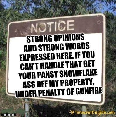 Warning: Freedom Zone | STRONG OPINIONS AND STRONG WORDS EXPRESSED HERE. IF YOU CAN'T HANDLE THAT GET YOUR PANSY SNOWFLAKE ASS OFF MY PROPERTY, UNDER PENALTY OF GUNFIRE | image tagged in blank sign | made w/ Imgflip meme maker