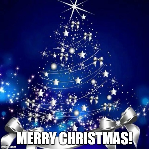 Merry Christmas  | MERRY CHRISTMAS! | image tagged in merry christmas | made w/ Imgflip meme maker