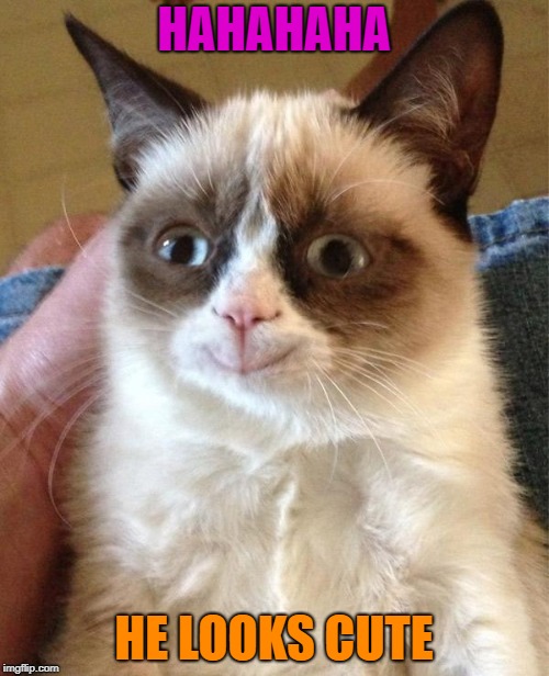 Grumpy Cat Happy Meme | HAHAHAHA HE LOOKS CUTE | image tagged in memes,grumpy cat happy,grumpy cat | made w/ Imgflip meme maker