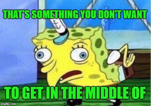 Mocking Spongebob Meme | THAT'S SOMETHING YOU DON'T WANT TO GET IN THE MIDDLE OF | image tagged in memes,mocking spongebob | made w/ Imgflip meme maker