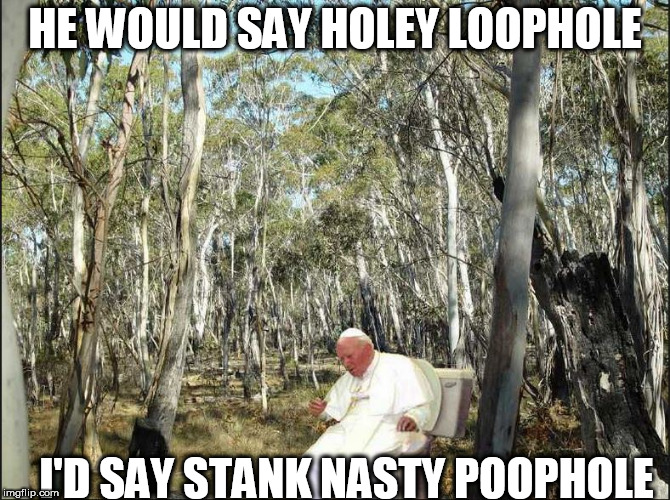 pope took a dump in the woods! | HE WOULD SAY HOLEY LOOPHOLE; I'D SAY STANK NASTY POOPHOLE | image tagged in the pope dump,in,the,woods | made w/ Imgflip meme maker
