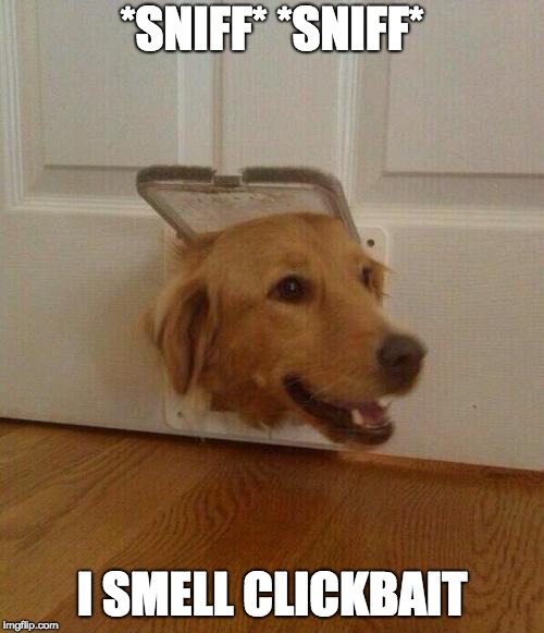 When i watch youtube |  *SNIFF* *SNIFF*; I SMELL CLICKBAIT | image tagged in dog door | made w/ Imgflip meme maker