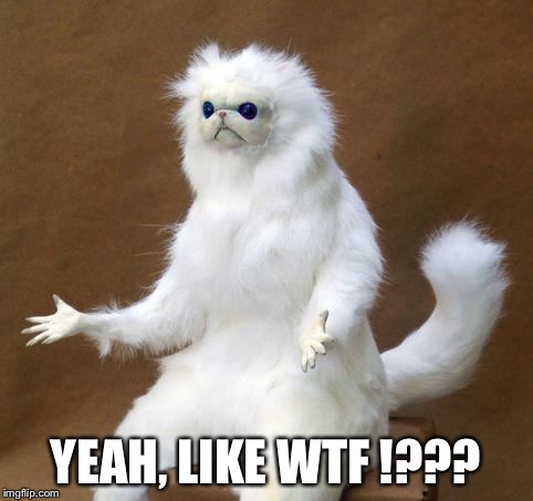 Persian white monkey | YEAH, LIKE WTF !??? | image tagged in persian white monkey | made w/ Imgflip meme maker