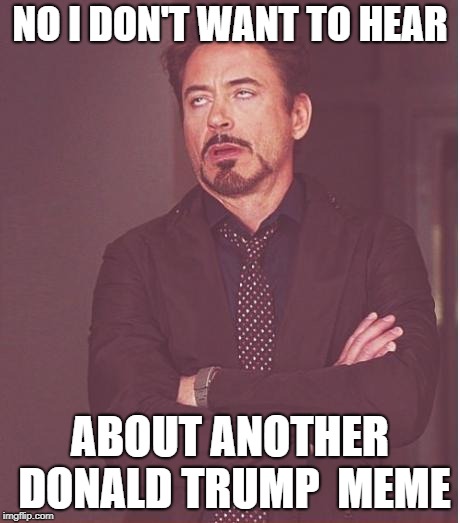 Face You Make Robert Downey Jr | NO I DON'T WANT TO HEAR; ABOUT ANOTHER DONALD TRUMP  MEME | image tagged in memes,face you make robert downey jr | made w/ Imgflip meme maker