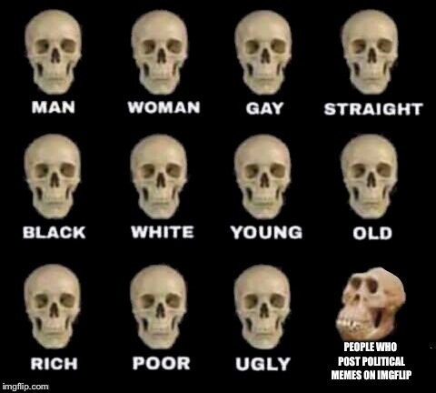 idiot skull |  PEOPLE WHO POST POLITICAL MEMES ON IMGFLIP | image tagged in idiot skull | made w/ Imgflip meme maker
