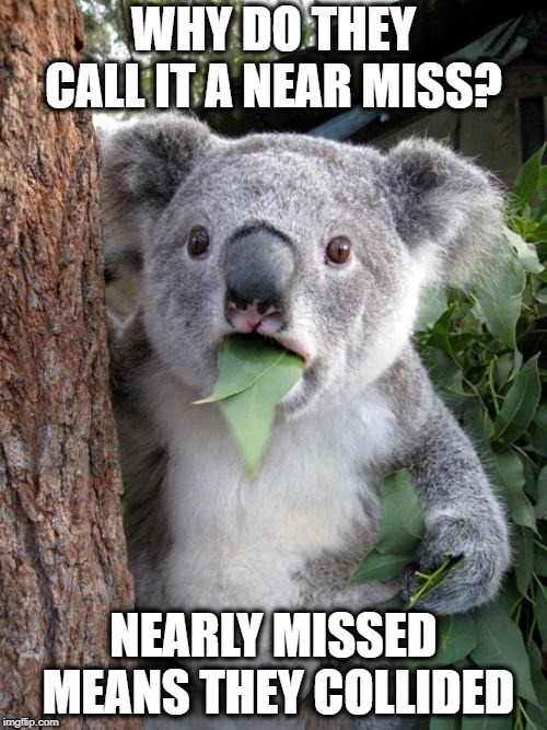 Surprised Koala | WHY DO THEY CALL IT A NEAR MISS? NEARLY MISSED MEANS THEY COLLIDED | image tagged in memes,surprised koala,funny,funny memes | made w/ Imgflip meme maker