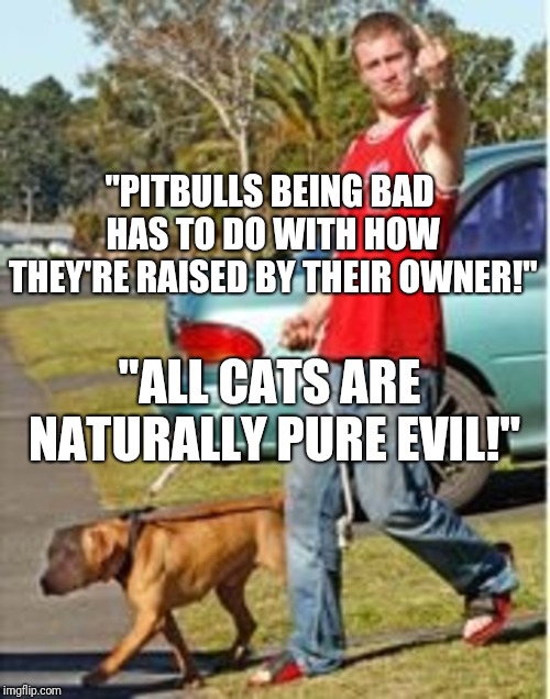 "PITBULLS BEING BAD HAS TO DO WITH HOW THEY'RE RAISED BY THEIR OWNER!"; "ALL CATS ARE NATURALLY PURE EVIL!" | image tagged in dog owner douchebag | made w/ Imgflip meme maker