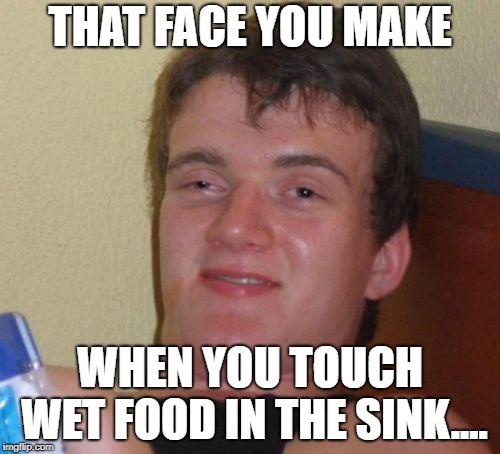 10 Guy | THAT FACE YOU MAKE; WHEN YOU TOUCH WET FOOD IN THE SINK.... | image tagged in memes,10 guy | made w/ Imgflip meme maker