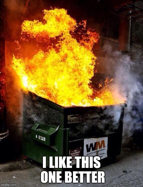 Dumpster Fire | I LIKE THIS ONE BETTER | image tagged in dumpster fire | made w/ Imgflip meme maker
