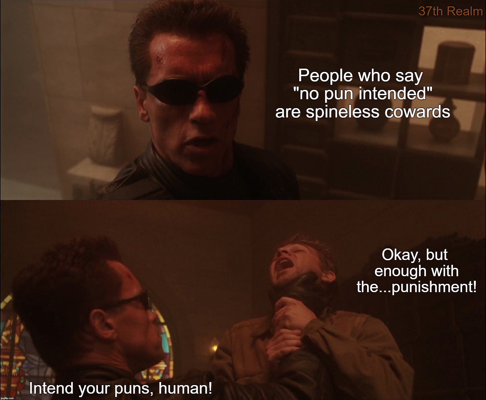 37th Realm; People who say "no pun intended" are spineless cowards; Okay, but enough with the...punishment! Intend your puns, human! | made w/ Imgflip meme maker