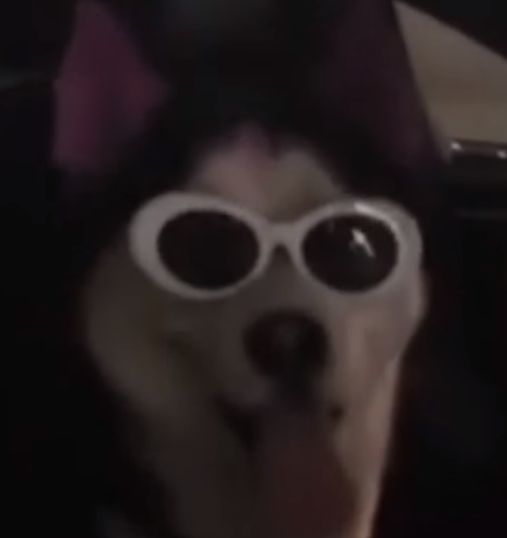 clout hound Blank Meme Template