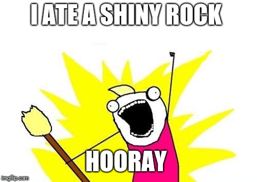 X All The Y Meme | I ATE A SHINY ROCK; HOORAY | image tagged in memes,x all the y | made w/ Imgflip meme maker