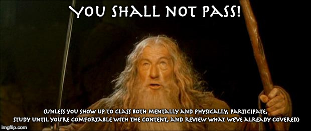 gandalf you shall not pass | You Shall not pass! (unless you show up to class both mentally and physically, participate, study until you're comfortable with the content, and review what we've already covered) | image tagged in gandalf you shall not pass | made w/ Imgflip meme maker