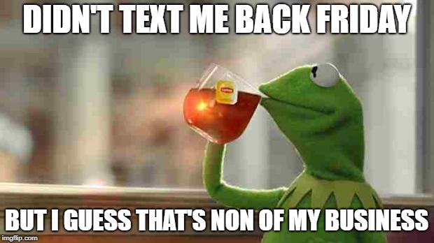 Kermit sipping tea | DIDN'T TEXT ME BACK FRIDAY; BUT I GUESS THAT'S NON OF MY BUSINESS | image tagged in kermit sipping tea | made w/ Imgflip meme maker