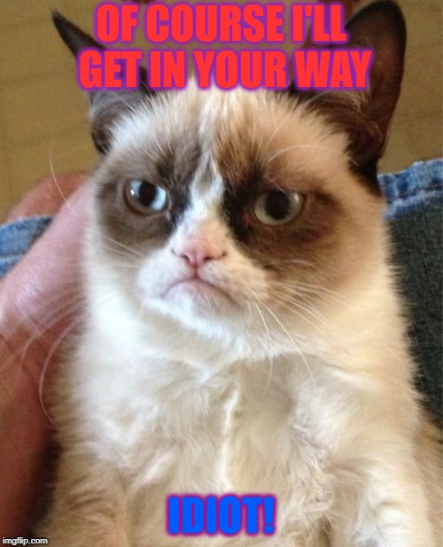 Grumpy Cat Meme | OF COURSE I'LL GET IN YOUR WAY IDIOT! | image tagged in memes,grumpy cat | made w/ Imgflip meme maker