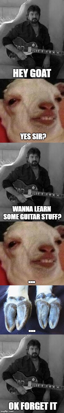 Danny Vash and the goat | HEY GOAT; YES SIR? WANNA LEARN SOME GUITAR STUFF? ... ... OK FORGET IT | image tagged in lol so funny,goat | made w/ Imgflip meme maker