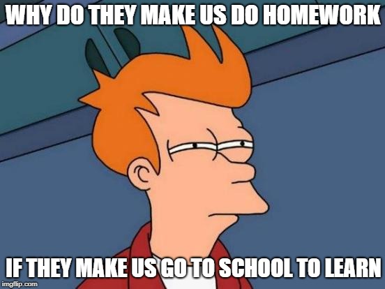 Futurama Fry | WHY DO THEY MAKE US DO HOMEWORK; IF THEY MAKE US GO TO SCHOOL TO LEARN | image tagged in memes,futurama fry | made w/ Imgflip meme maker