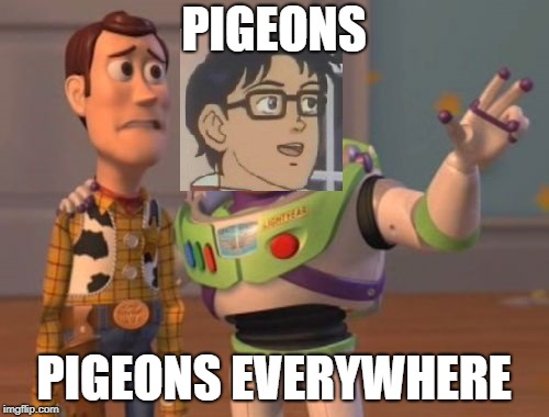 PIGEONS PIGEONS EVERYWHERE | made w/ Imgflip meme maker