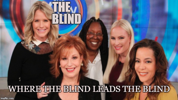 Clueless Liberals | THE; BLIND; WHERE THE BLIND LEADS THE BLIND | image tagged in the view,progressive,left wing,feminist,liberal,propaganda | made w/ Imgflip meme maker