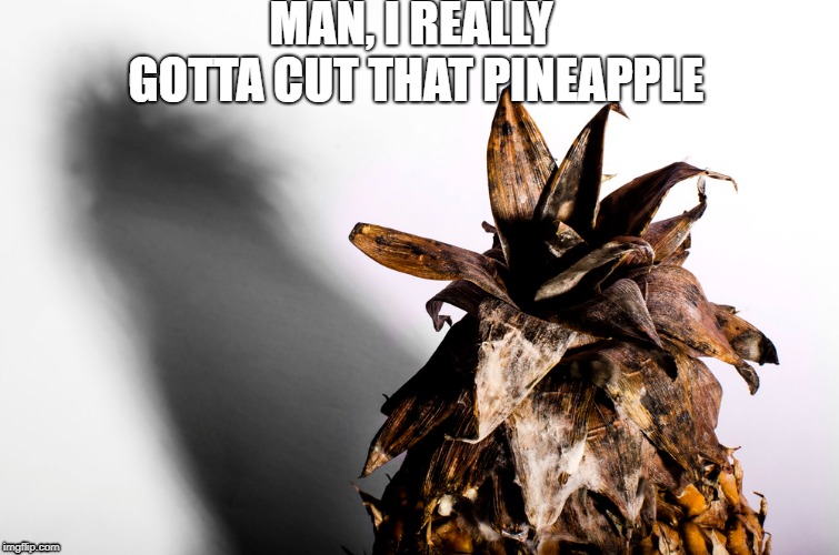 procrastination | MAN, I REALLY GOTTA CUT THAT PINEAPPLE | image tagged in funny memes | made w/ Imgflip meme maker