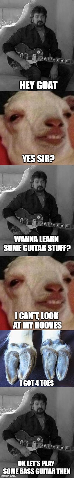 Danny Vash and the goat 2 | HEY GOAT; YES SIR? WANNA LEARN SOME GUITAR STUFF? I CAN'T, LOOK AT MY HOOVES; I GOT 4 TOES; OK LET'S PLAY SOME BASS GUITAR THEN | image tagged in lol so funny,danny | made w/ Imgflip meme maker