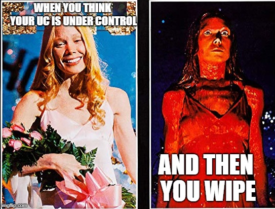 WHEN YOU THINK YOUR UC IS UNDER CONTROL; AND THEN YOU WIPE | made w/ Imgflip meme maker