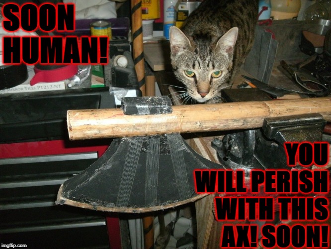 SOON HUMAN! YOU WILL PERISH WITH THIS AX! SOON! | image tagged in soon | made w/ Imgflip meme maker