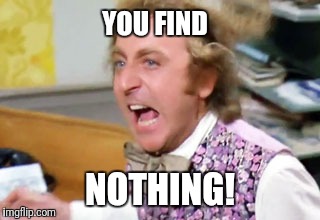 Funny Wonka meme | YOU FIND; NOTHING! | image tagged in willy wonka | made w/ Imgflip meme maker