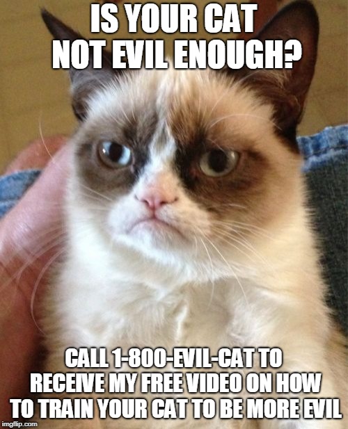 Grumpy Cat Meme | IS YOUR CAT NOT EVIL ENOUGH? CALL 1-800-EVIL-CAT TO RECEIVE MY FREE VIDEO ON HOW TO TRAIN YOUR CAT TO BE MORE EVIL | image tagged in memes,grumpy cat | made w/ Imgflip meme maker