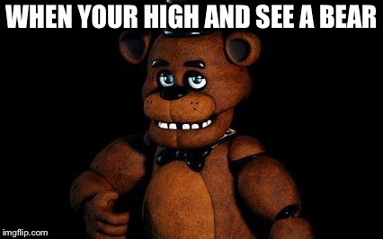 WHEN YOUR HIGH AND SEE A BEAR | image tagged in freddy | made w/ Imgflip meme maker