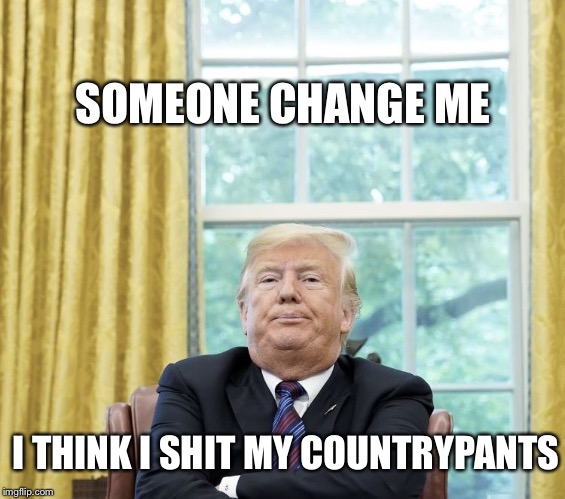 Trumpy Wumpy | SOMEONE CHANGE ME; I THINK I SHIT MY COUNTRYPANTS | image tagged in donald trump,memes,funny memes,impeach trump | made w/ Imgflip meme maker