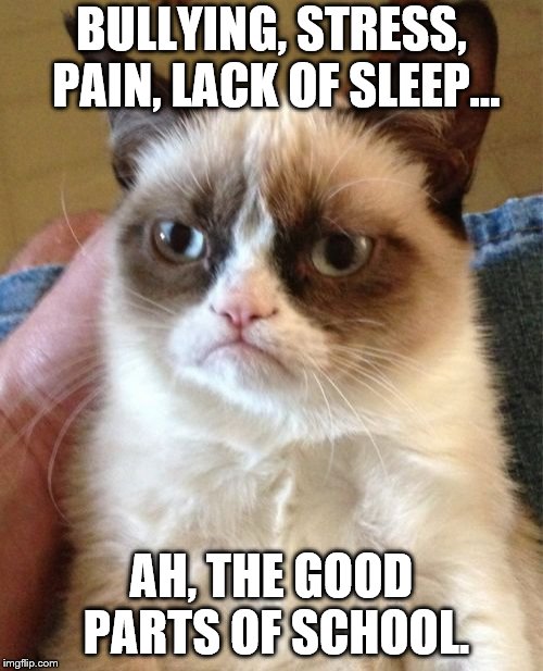 Only good when you're not in it | BULLYING, STRESS, PAIN, LACK OF SLEEP... AH, THE GOOD PARTS OF SCHOOL. | image tagged in memes,grumpy cat | made w/ Imgflip meme maker