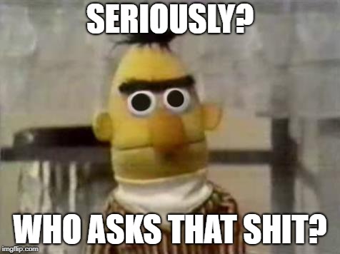 Bert Stare | SERIOUSLY? WHO ASKS THAT SHIT? | image tagged in bert stare | made w/ Imgflip meme maker