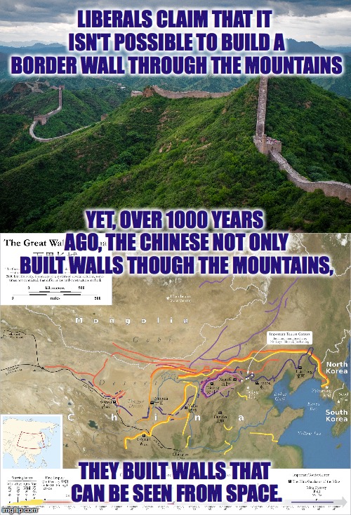 Build The Wall | LIBERALS CLAIM THAT IT ISN'T POSSIBLE TO BUILD A BORDER WALL THROUGH THE MOUNTAINS; YET, OVER 1000 YEARS AGO, THE CHINESE NOT ONLY BUILT WALLS THOUGH THE MOUNTAINS, THEY BUILT WALLS THAT CAN BE SEEN FROM SPACE. | image tagged in border wall,great wall | made w/ Imgflip meme maker