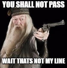 gun dumbledore | YOU SHALL NOT PASS; WAIT THATS NOT MY LINE | image tagged in gun dumbledore | made w/ Imgflip meme maker