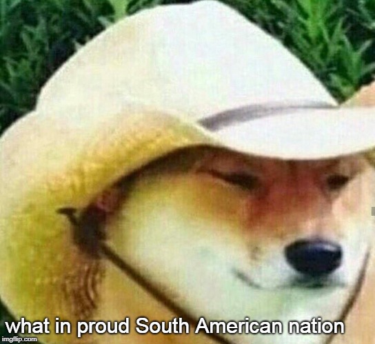 What in tarnation | what in proud South American nation | image tagged in what in tarnation | made w/ Imgflip meme maker