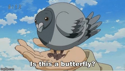 Is it? | . | image tagged in is this a pigeon,is this a butterfly,memes,ilikepie314159265358979 | made w/ Imgflip meme maker