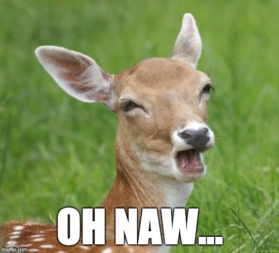 Go Home Bambi, You're Drunk | OH NAW... | image tagged in go home bambi you're drunk | made w/ Imgflip meme maker