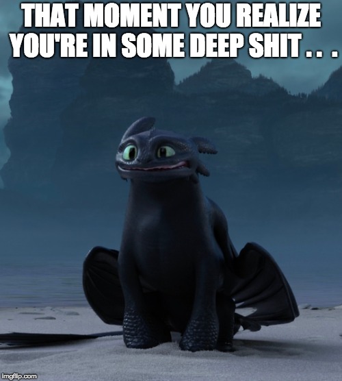 THAT MOMENT YOU REALIZE YOU'RE IN SOME DEEP SHIT . .  . | image tagged in how to train your dragon,toothless | made w/ Imgflip meme maker