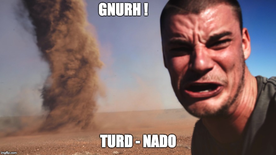 GNURH ! TURD - NADO | image tagged in turd-nado | made w/ Imgflip meme maker
