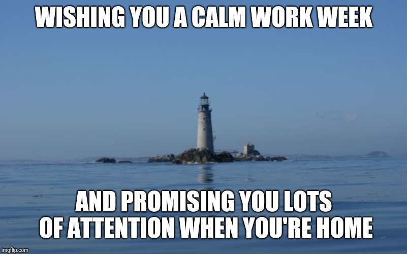 WISHING YOU A CALM WORK WEEK; AND PROMISING YOU LOTS OF ATTENTION WHEN YOU'RE HOME | made w/ Imgflip meme maker