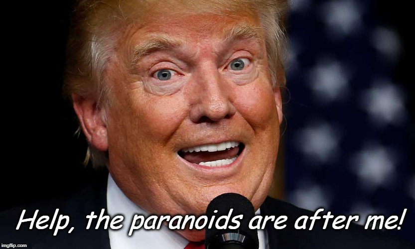 Help, the paranoids are after me! | image tagged in trump,paranoid | made w/ Imgflip meme maker