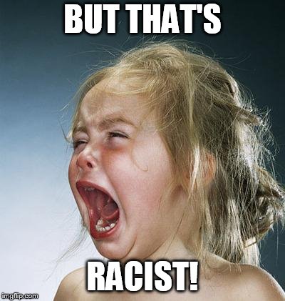 little girl screaming | BUT THAT'S; RACIST! | image tagged in little girl screaming | made w/ Imgflip meme maker