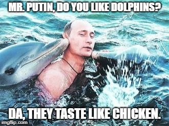 Taste like Chicken | MR. PUTIN, DO YOU LIKE DOLPHINS? DA, THEY TASTE LIKE CHICKEN. | image tagged in putin dolphins | made w/ Imgflip meme maker