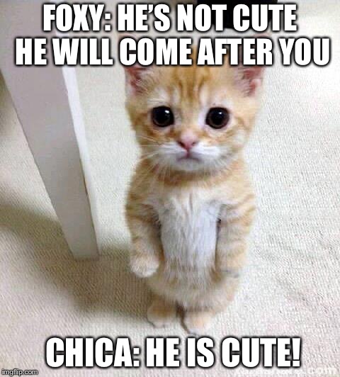 Cute Cat Meme | FOXY: HE’S NOT CUTE HE WILL COME AFTER YOU; CHICA: HE IS CUTE! | image tagged in memes,cute cat | made w/ Imgflip meme maker