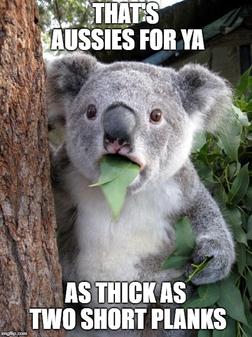 Surprised Koala Meme | THAT'S AUSSIES FOR YA AS THICK AS TWO SHORT PLANKS | image tagged in memes,surprised koala | made w/ Imgflip meme maker